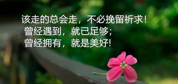 b45bf28d547e41388bd1662c6fab275d.jpeg