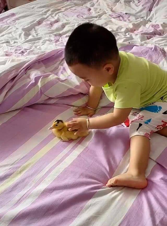 小姨送给外甥一只小鸭，宝宝稀罕的不得了-李嘉诚套现逾738亿