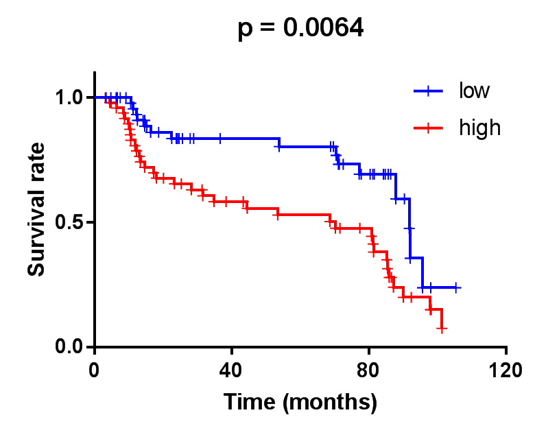 Graphpad绘制生存曲线_Graphs