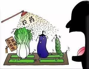 农药及农药残留的常识,做好农药残留检测,减少危害