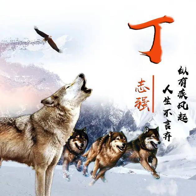 2020你的微信头像该换了,26张励志高端大气签名头像,敬请笑纳