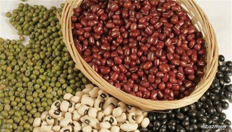 现在可以种黄豆和黑豆吗 71057bdb945947d6a52fe639b28496b1.jpeg