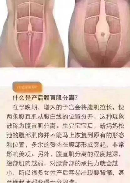 66b9733e5d3a40e6a8754e59ea0d3206.jpeg