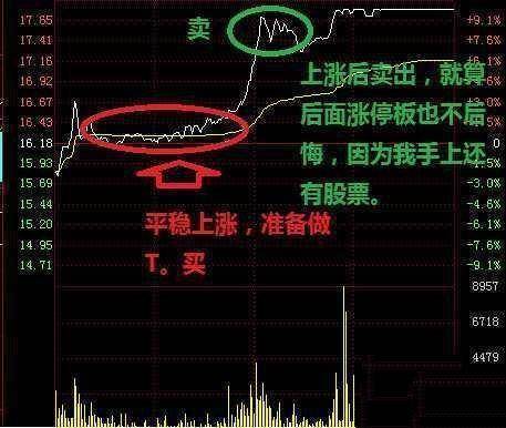 股票做t怎么赚钱 6c32fc935eef42c4b9f25ade547790e8.jpeg