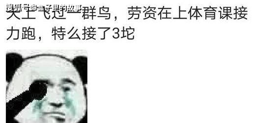 9338a9e8ff7b4177be2b36682cd6d133.jpeg
