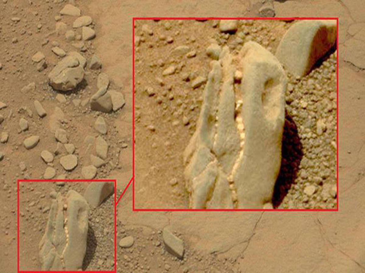 奇闻:火星现恐龙化石?美国"好奇"号传照片,疑现未知生物骨骸