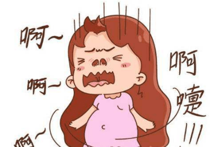 其实是因为怀孕后雌激素水平增高,引起鼻粘膜超过敏反应,导致小血管
