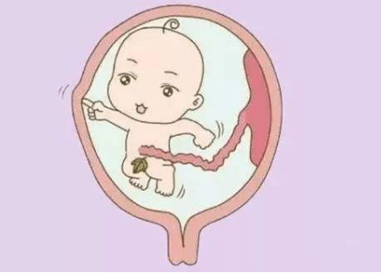 反应|?孕妇打喷嚏胎儿有什么反应?对胎儿有什么影响?