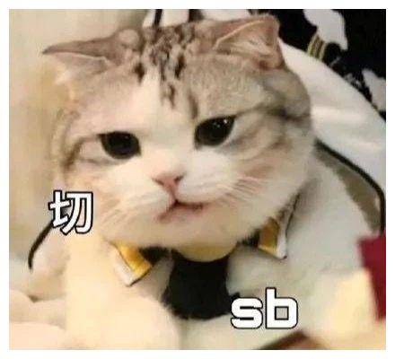 原创搞笑gif趣图:不管是人还是鸭子,这样走路都会挨打的