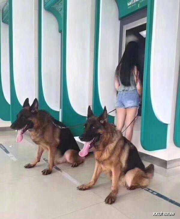 搞笑内涵图:姑娘,取款机也取不了多少钱,你至于带这么