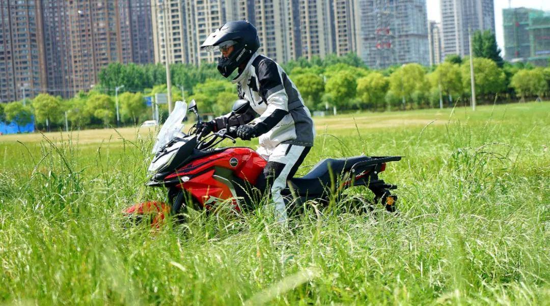 抓地草是什么草 828fa85fc7384a6a8f6238defd465b31.jpeg