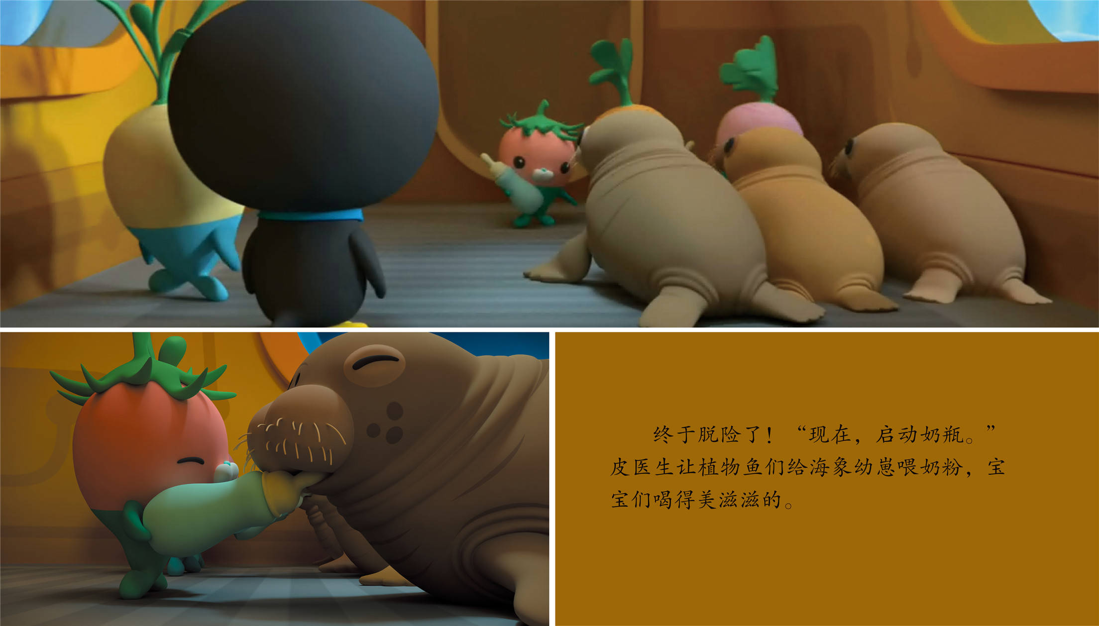 儿童绘本故事推荐《海象幼崽》