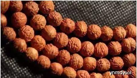 4650d3809df14be49cbc80b2c6fa1f51.jpeg