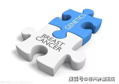 癌症没有基因突变会遗传下一代么 4d88e5bc40464b9b91ca23b73b55de17.jpeg