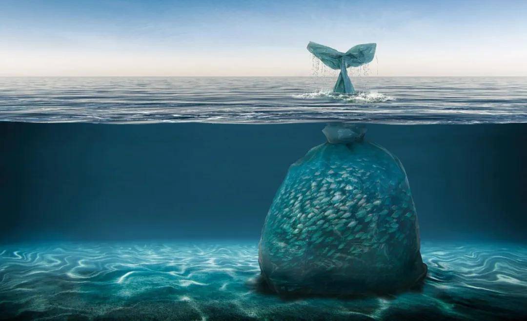 第12个世界海洋日,你仍然不知道关于海洋垃圾的10个令人震惊的事实