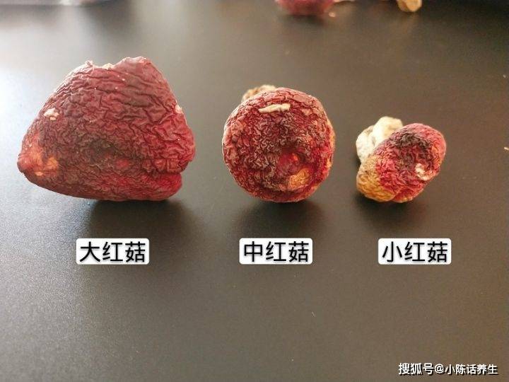 红菇无法大规模人工栽培,产量不高,市场上的厂家供应价格也一直居高不