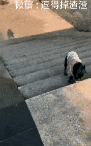 搞笑gif段子:这滑梯是来坑娃的么?