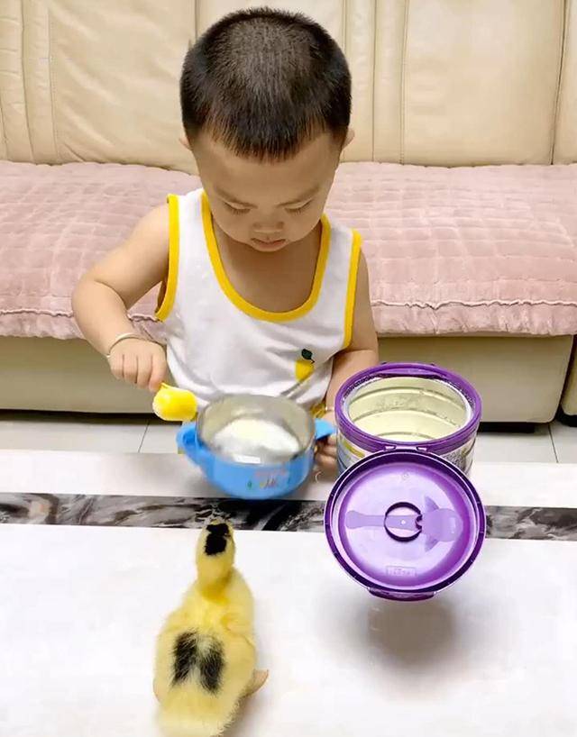 妈妈给儿子买了一只小鸭，宝宝大方分享自己的奶粉，妈妈看了不淡定