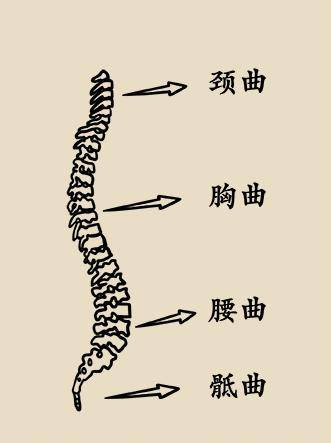 胸亚利人口_亚利盖拉(2)