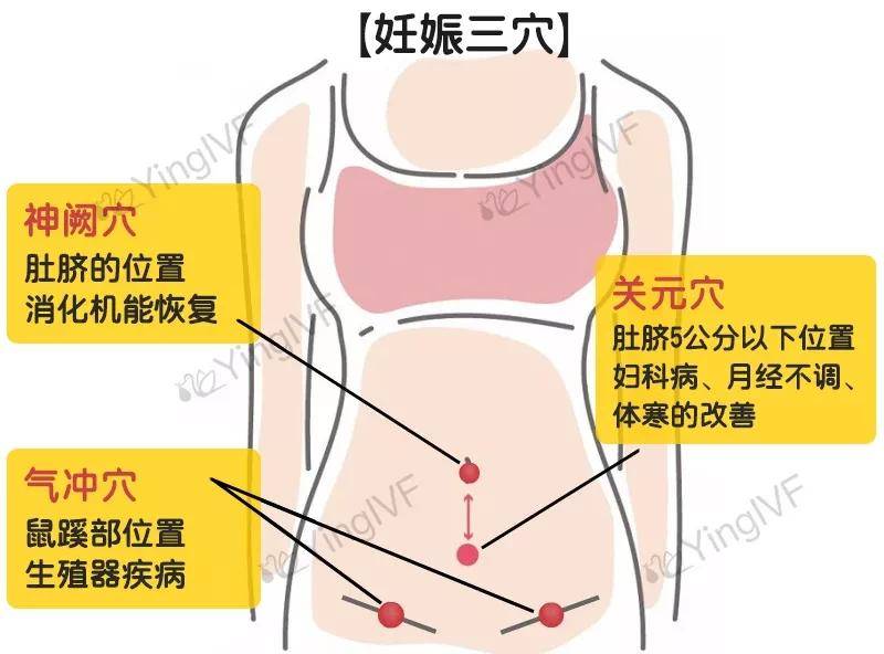 脊背的脊一共有几画 e4ca0be5864c4c2a923a95a2307fda26.jpeg