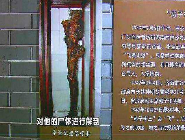 李圣武的大腿标本(至今保存) 民国第一飞贼"燕子李三"身上的谜团