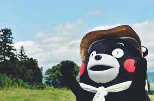 “乐山”熊猫狗逛街，这些小家伙儿还可开启“萌宠”时代？