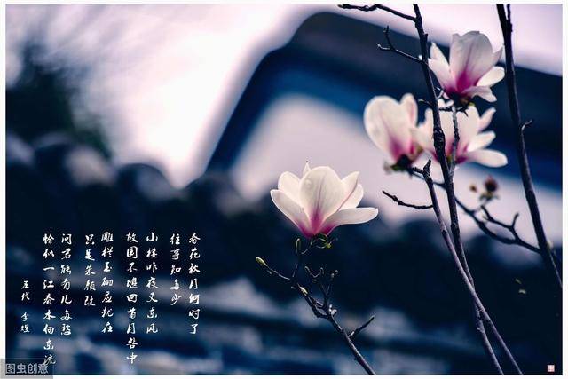 观点评论|历史上的四大著名死结，当事人必须死，且无人能解