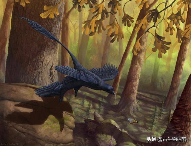 最近有一批科學家在緬甸琥珀裡挖掘到了大量恐龍羽毛，羽毛形狀保存良好 娛樂 第7張