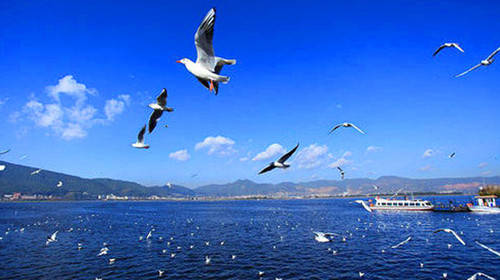 昆明新一线城市2020_昆明想要成为新一线城市,要和这个地级市实现一体(2)