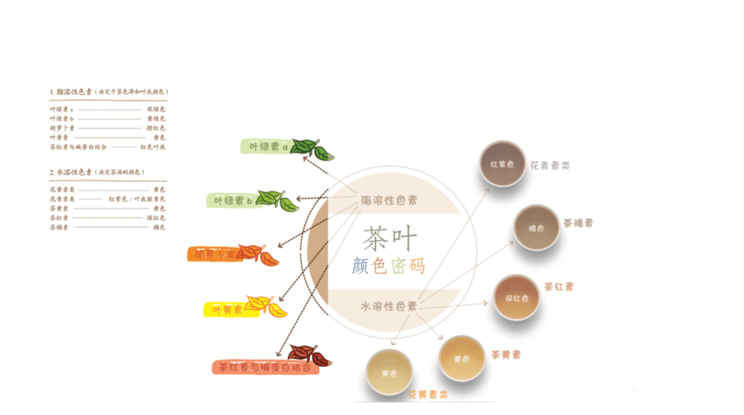 2000万茶人探寻的秘密茶叶密码作者郝连奇为您揭晓