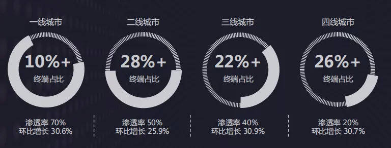 风行李树群：完美布局一二线城市后，下沉城市营销潜力巨大-DVBCN