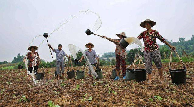 啥时候种地 d336b7eeb17d4688a0c1937f6a72d305.jpeg