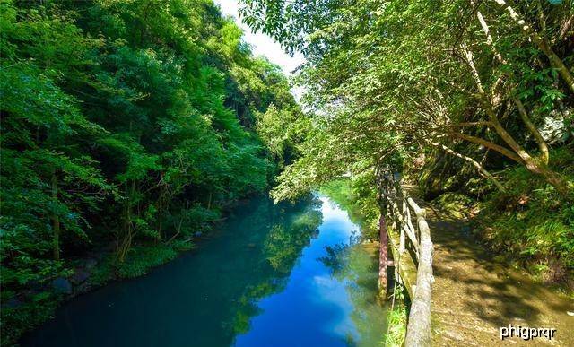 石台人口_石台 摘下 贫困 帽 踏上 致富 路(2)