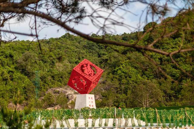 金榜题名|必须要做这些事高三党必看！今年高考想要金榜题名