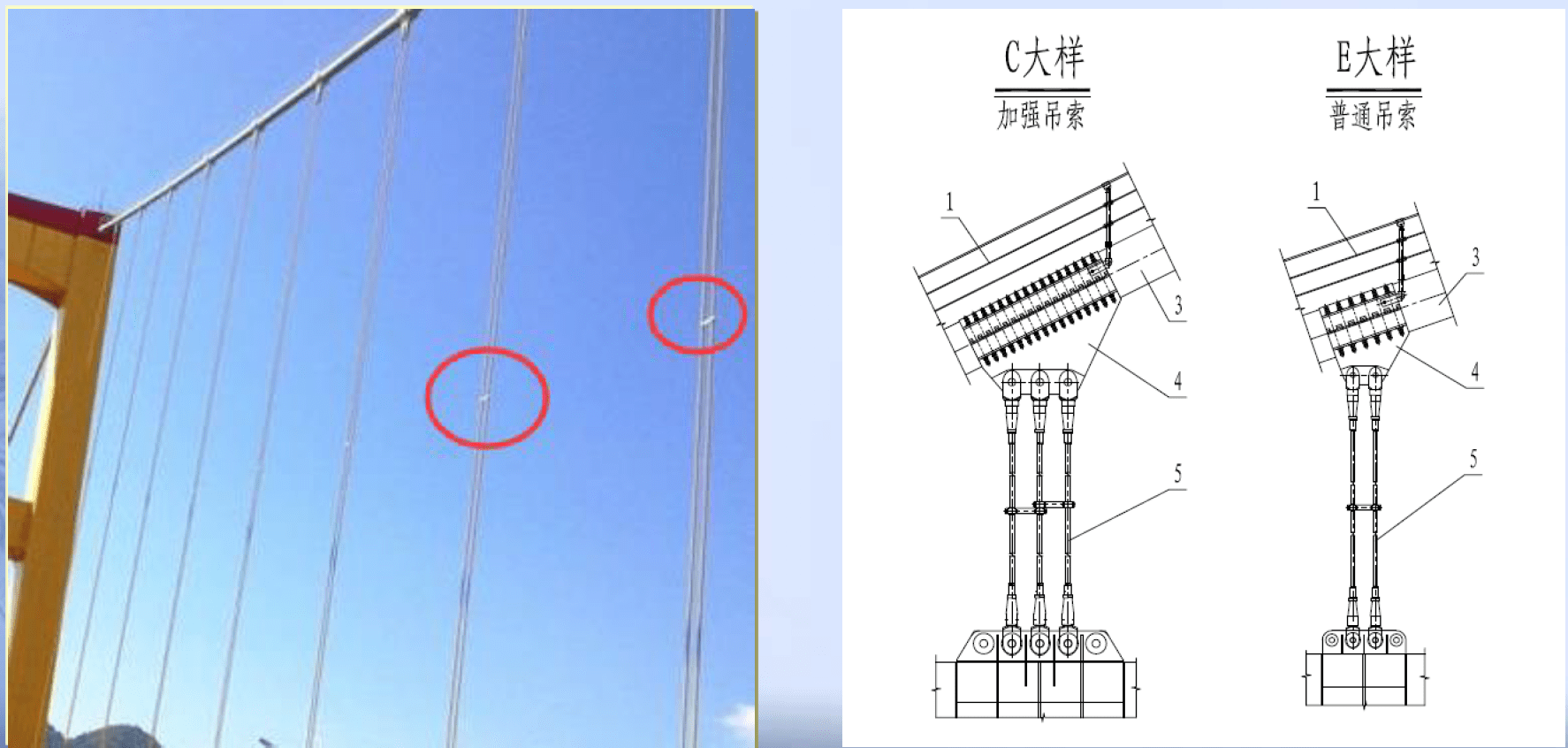 第86期桥梁索体系特殊检测技术