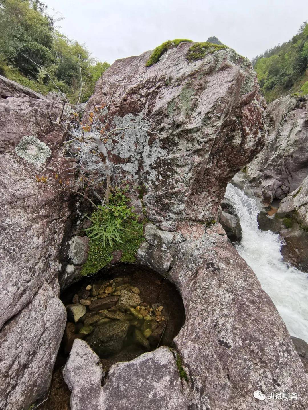 永嘉陡门溪雕岩谷里有龙井,藏在深谷人未识,你去过了吗?