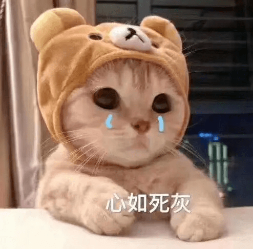 风在吼，马在叫，辅导作业的妈妈在咆哮：家庭作业是中年老母的翻车现场