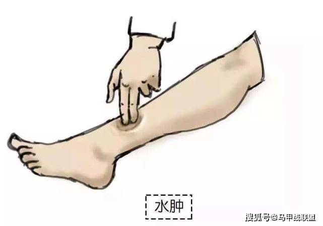 cb5a922181fb45e6a146830fc3750755.jpeg
