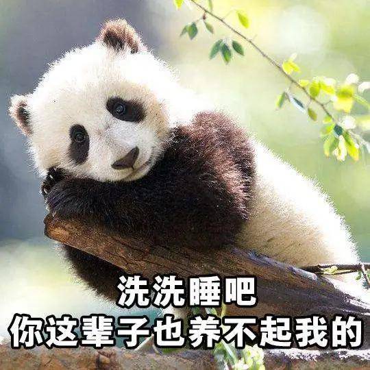 17d4bbfe4dc3445b8807a7d5ccce46e4.jpeg