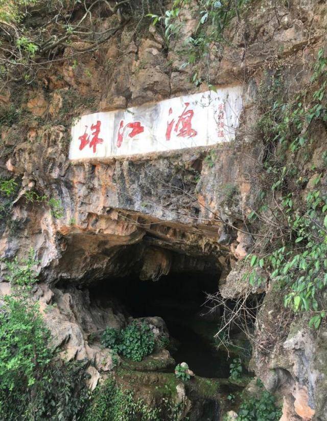 2020云南旅游业gdp_云南2020各市gdp