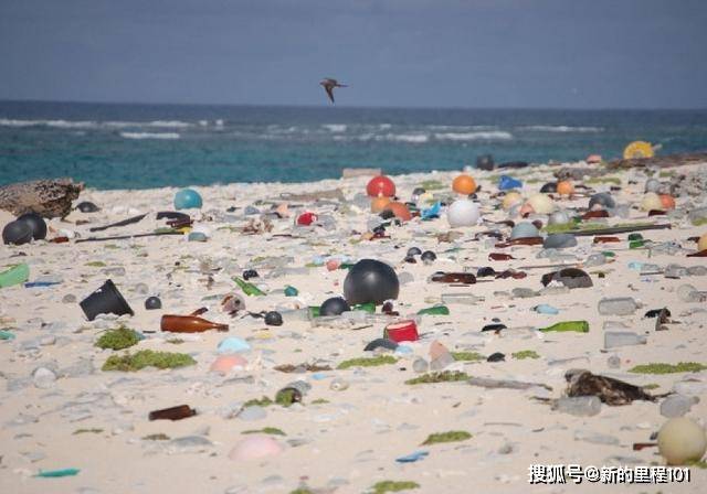 充满垃圾的世界自然遗产?海漂污染的残酷悲歌
