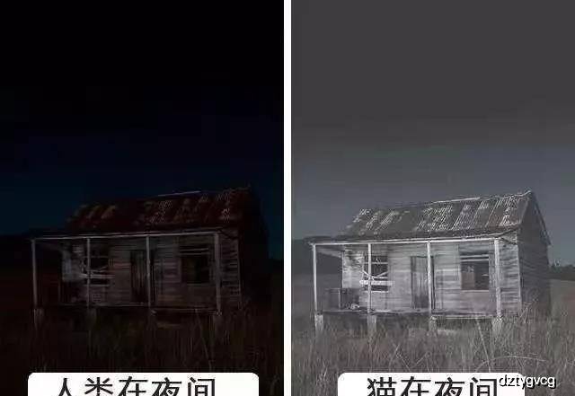 f1b34701e3354f78a70cd437ddf6e97a.jpeg