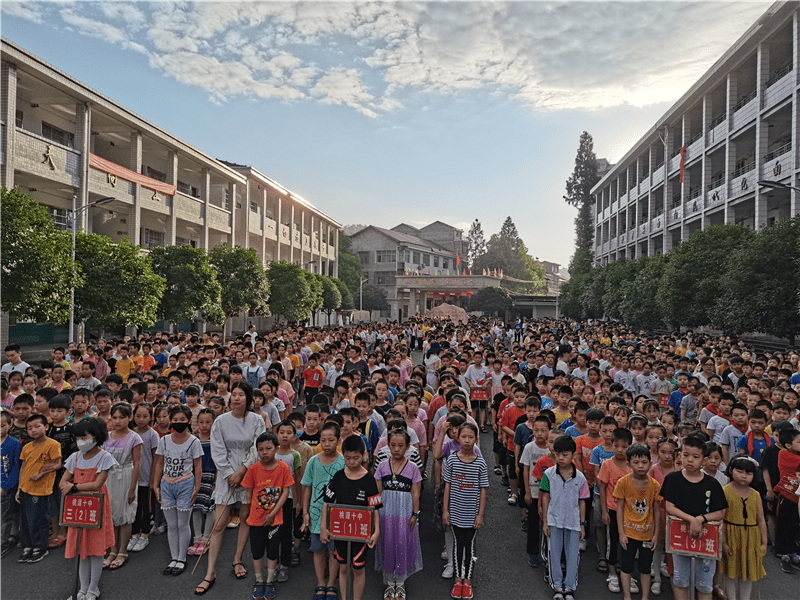 桃源县第十中学:爱心呵护成长,安全教育走进校园