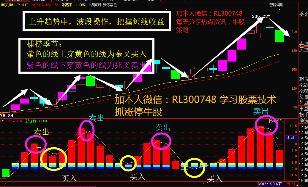 0949ba87ca2f4347b6a31a50642c9442.png