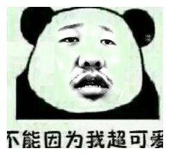 59745b646d7049508c054680d7b855df.jpeg