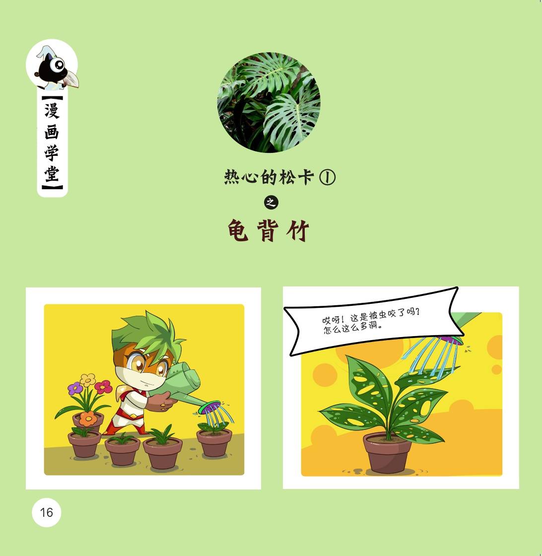 儿童绘本故事推荐《木奇灵植物王国奇遇记—漫画学堂》