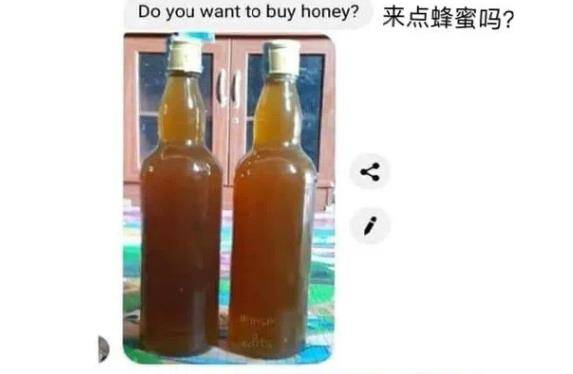 acee62d919b64c13b95caec407f3fb7b.jpeg