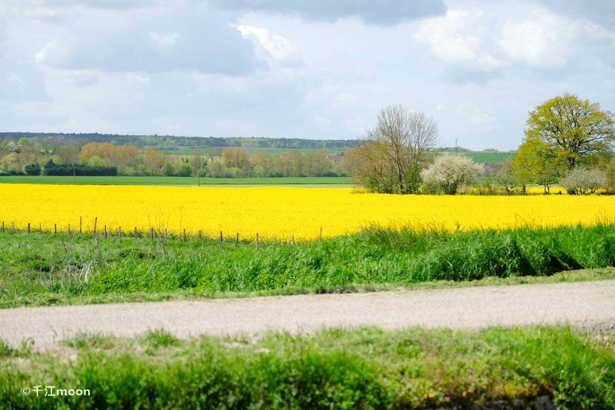 32张照片告诉你法国乡下的春天有多美！
