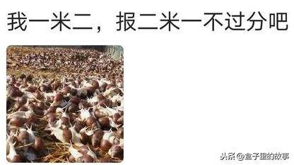 e7dd9995fff648fe82dd2ef0a980458c.jpeg