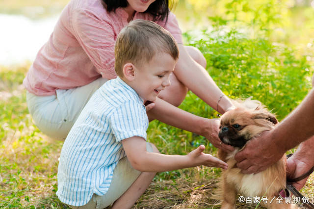 孩子|要注意以下五点,家长须知!让狗狗陪伴孩子成长